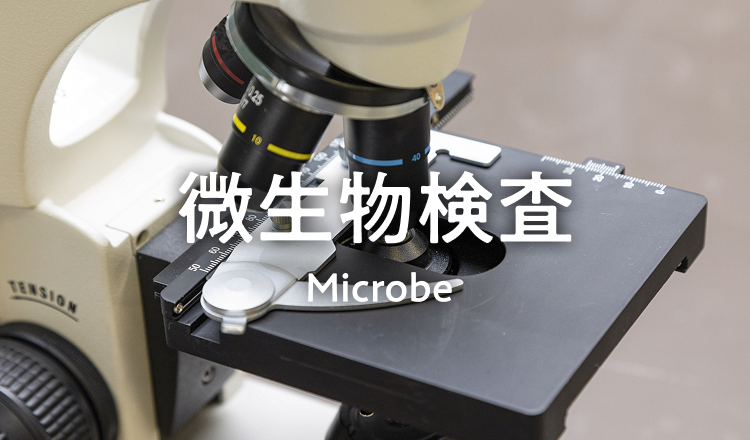 微生物検査