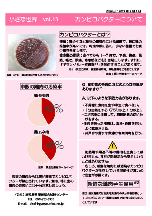 カンピロバクター